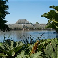Kew Gardens & Palace