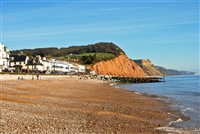 The Donkey Sanctuary & Sidmouth