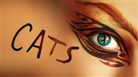 Cats, Bristol Hippodrome
