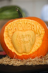 Malvern Autumn Show