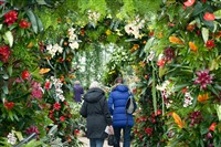 Royal Botanic Gardens Kew Orchid Festival