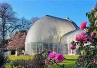 Bicton Park Botanical Gardens & Exmouth
