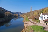 Wye Valley Tour & Cream Tea at Tintern